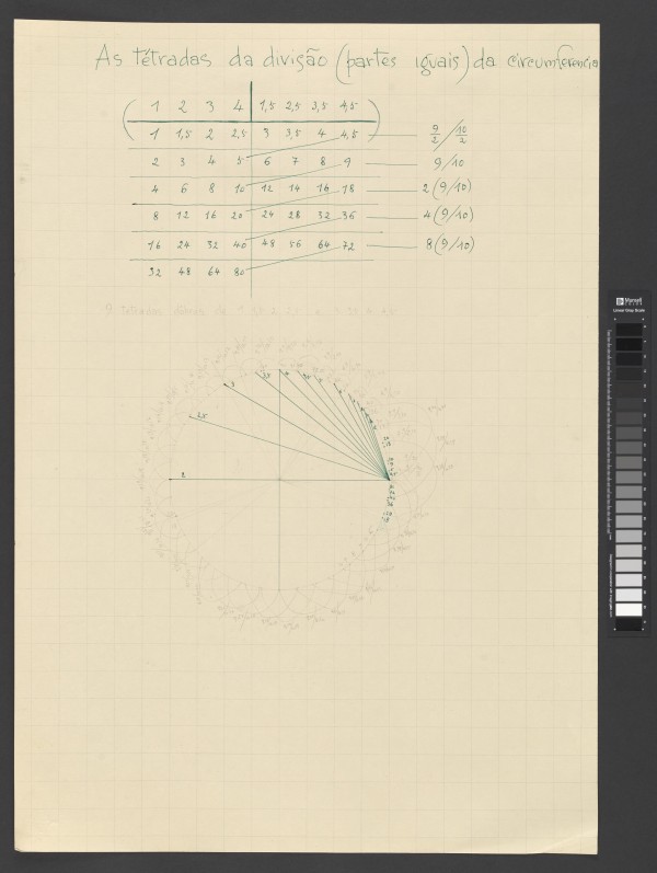 As tétradas da divisão da circunferência